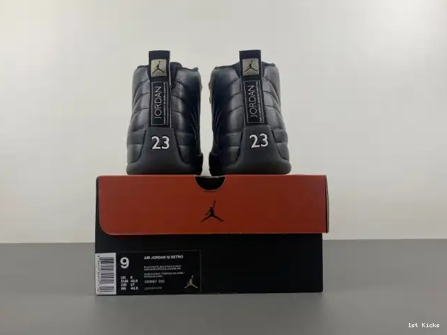 The 130690-013 Jordan Retro Master 12 Air 0522